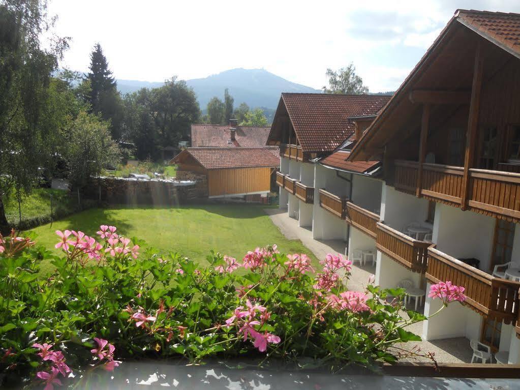 Hotel Eisensteiner Hof بايريش أيزنشتاين المظهر الخارجي الصورة